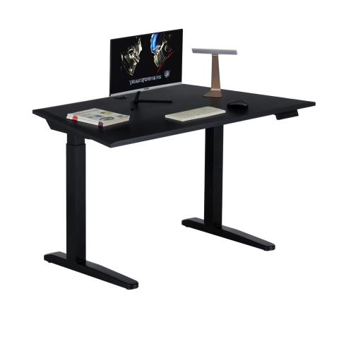 Intelligent Sit To Stand Home Office Electric Controller Desk