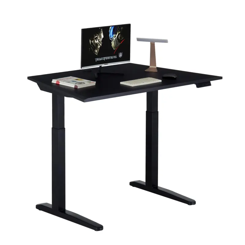 Intelligent Sit To Stand Home Office Electric Controller Desk