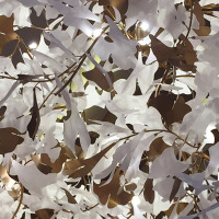 Grande lampadario moderno personalizzato in foglia di ginkgo in acrilico