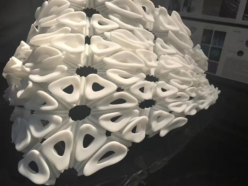 Seashell chandelier