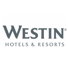 Conference hall lighting custom project