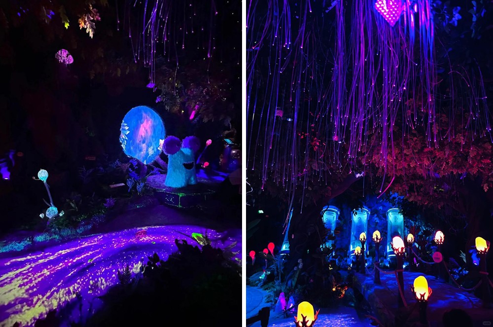 Astronaut IP Astronaut IP