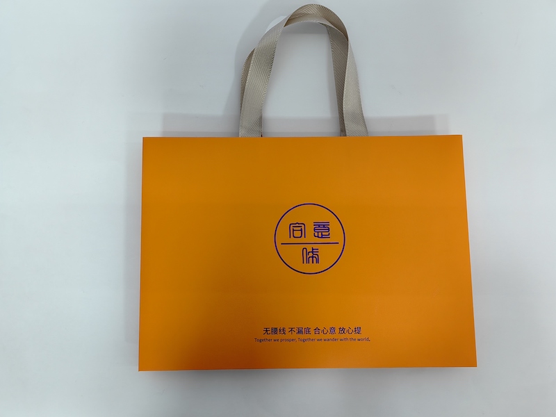 printed gift bag