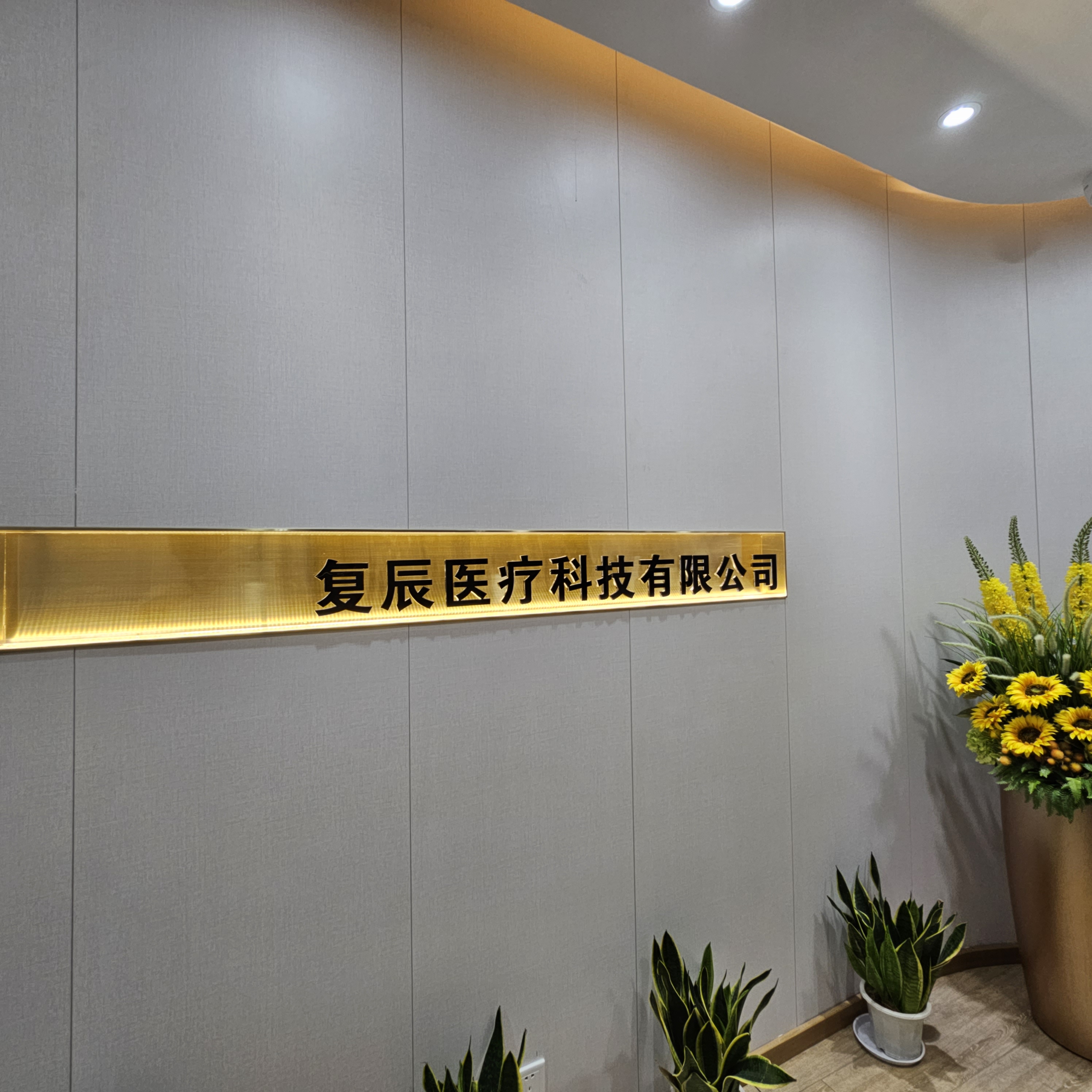 Adjustable Height Shower Chair for Inside Shower with 300 lb Capacity