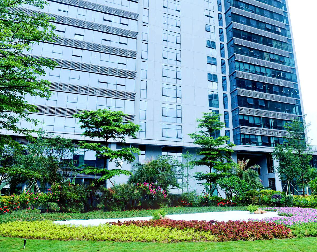 Two Wheeled Walker with Seat