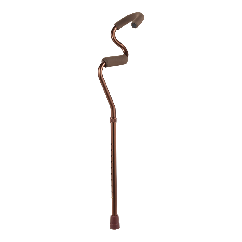 Dual Handle Cane
