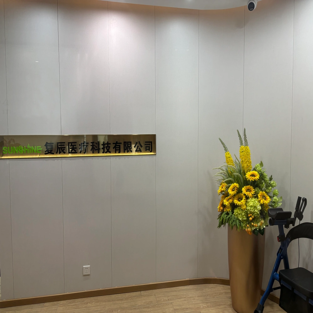 القيم الأساسية لتطوير الشركة