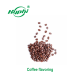 Strong And Long Lasting Coffee Flavourings