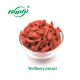 Extrait de goji doux hautement nutritif