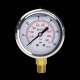 350 psi-Edelstahl-Manometer mit NPT-Adapter