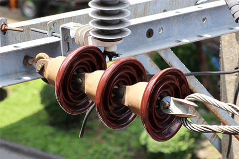 LA VITA SEGRETA DEGLI ISOLATORI