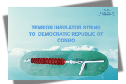 TENSION INSULATOR STRING TO CONGO