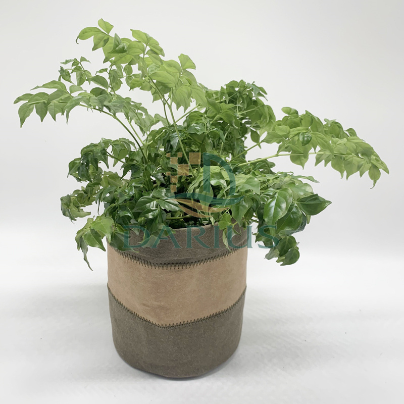 Pestävät kasvisuojat Paperilaukkujen säilytyspussit