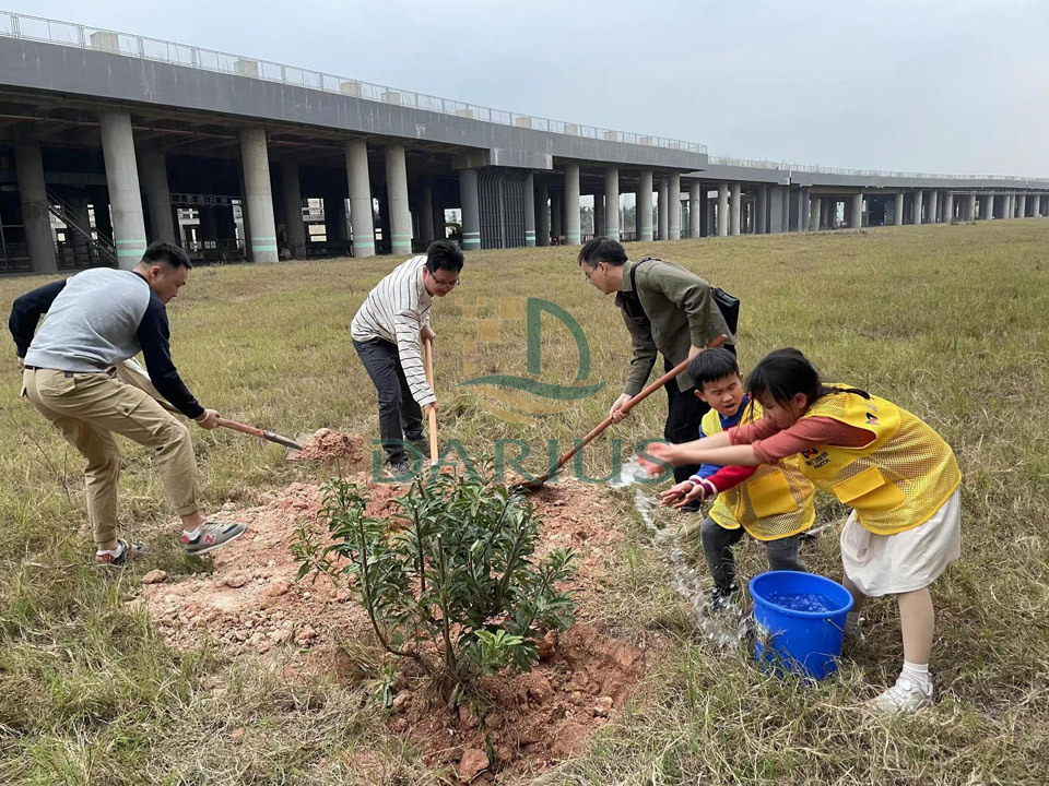 Proteger o meio ambiente, plantar árvores e reflorestar