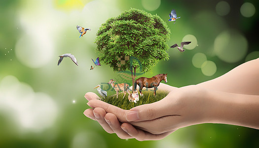 Trate bem a Terra，Proteja os animais