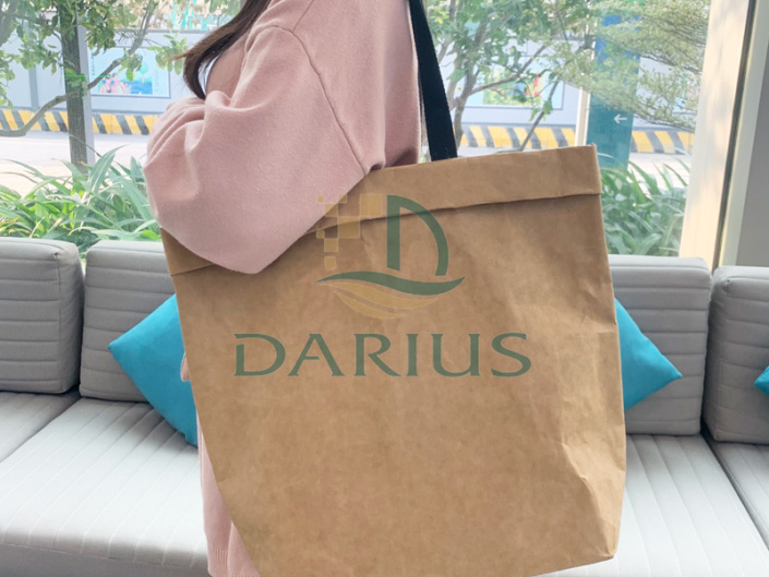 Análise da Visão Geral do Desenvolvimento, Situação Atual e Tendências Futuras de Desenvolvimento do Papel Kraft