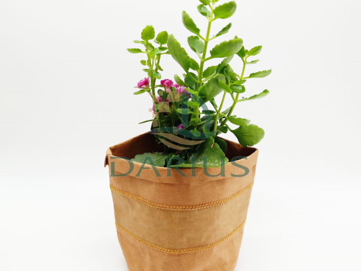 Introdução ao papel Kraft lavável: uma superfície semelhante a couro para moda ecológica