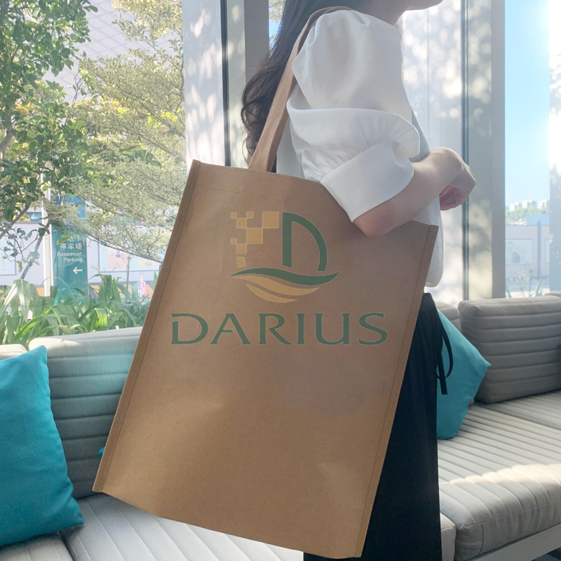 Platte bruine grote wasbare boodschappentas van kraftpapier