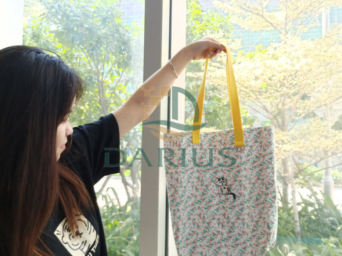 ing, usando e avaliando a versatilidade de sacolas ecológicas clássicas