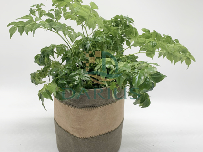 Características dos sacos de armazenamento de manga de papel para cobertura de plantas laváveis