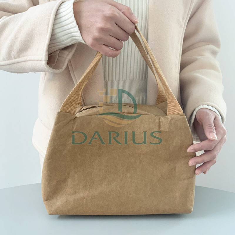 Geïsoleerde fles Leuke koeler papieren zakken voor picknick