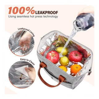 Ladies Small Lunch Tote Bag Pack