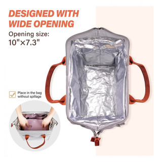 Ladies Small Lunch Tote Bag Pack