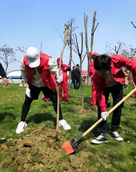 Volunteer tree planting
