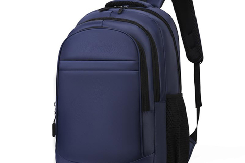 Mochila profesional para portátil para el trabajo, la oficina y los desplazamientos diarios