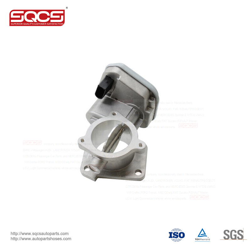 SQCS Throttle Body Assembly 504264089 J