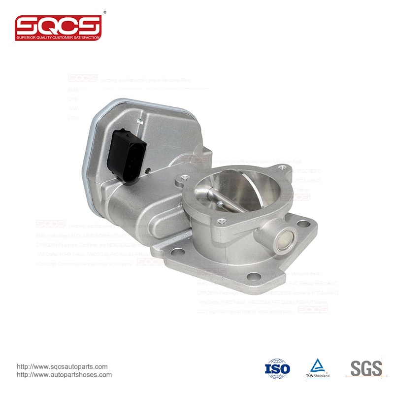 SQCS Throttle Body Assembly 504264089 J