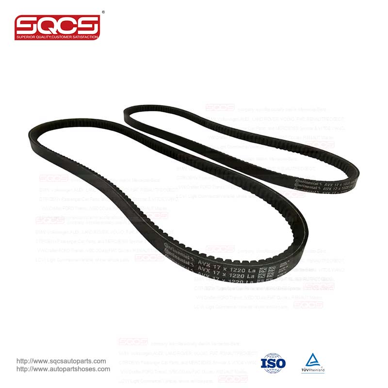 Hot Sale Auto Parts v-belt OE number 500301260 by ASTRA IVECO A