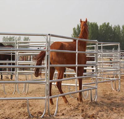 The Modern Production Process of Livestock Fences: Precision Through Automation
