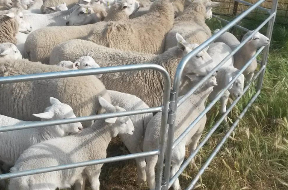 laser pipe cutting machine laser pipe cutting machine