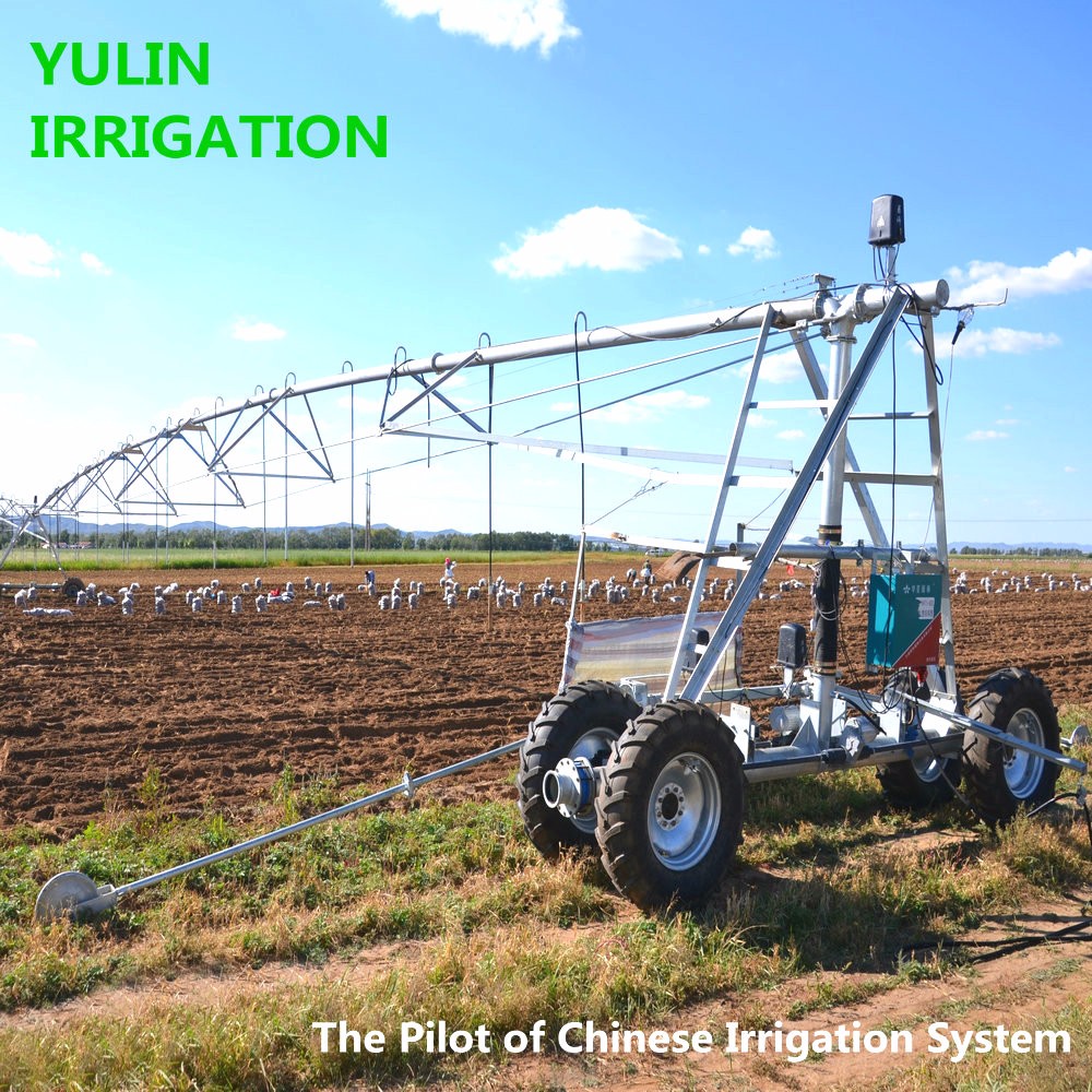 China High quality Fair price Linear Move Irrigation System for farm