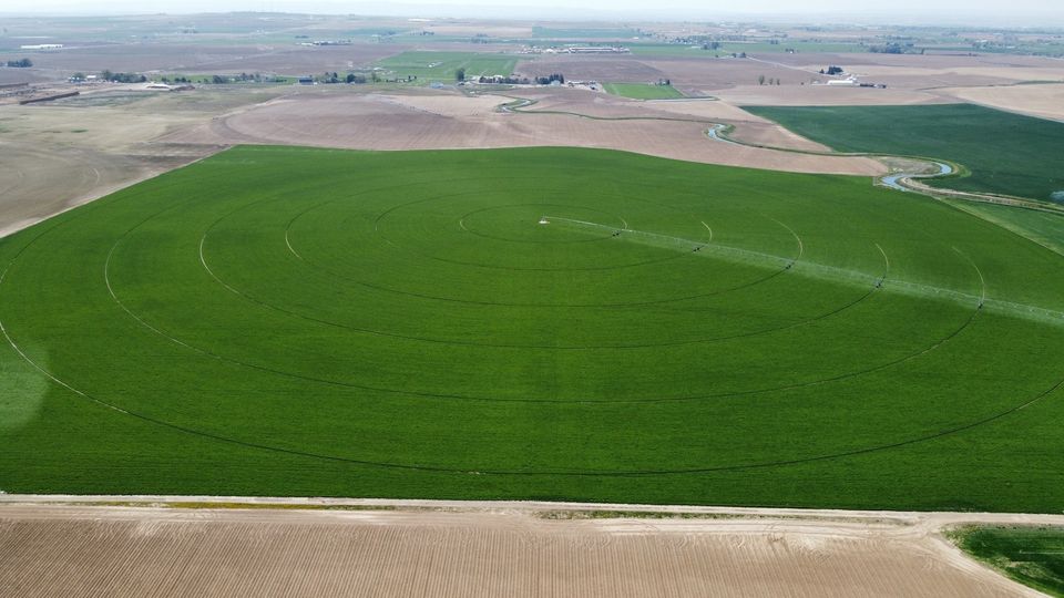 pivot irrigation