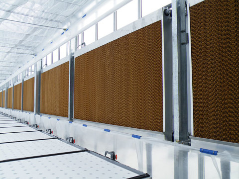 Cooling Pad Or Wet Curtain For Chicken Farm Poultry Greenhouse