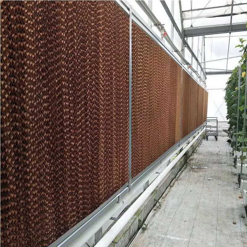 পশুপালনের জন্য সেলুলোজ মধুচক্র কুলিং প্যাড ওয়াল