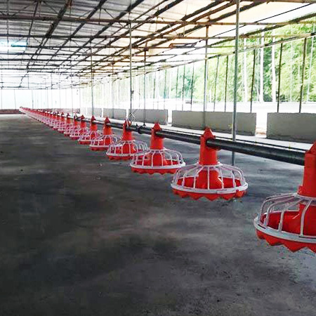 Automatic Complete Poultry House Feeding Line System