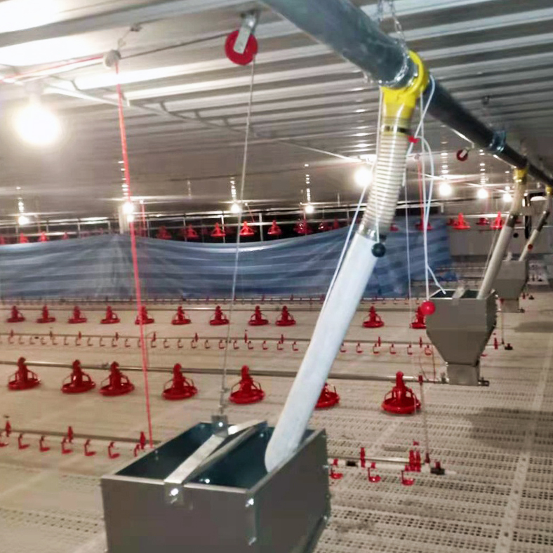 Automatic Complete Poultry House Feeding Line System
