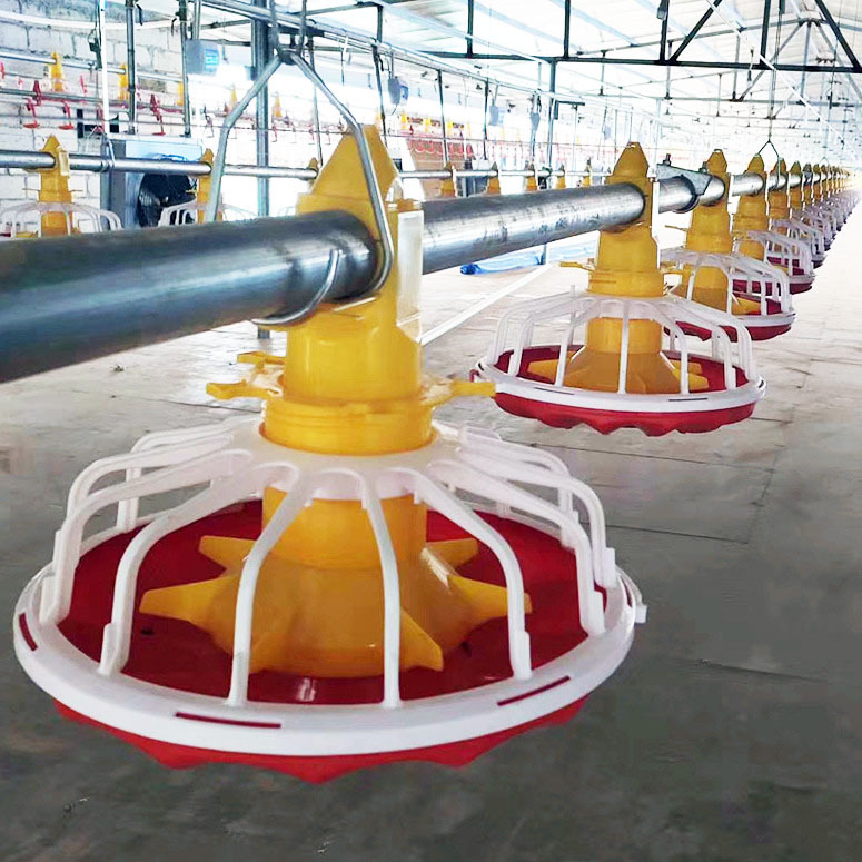 Poultry Animal Pan Feeding Line Full Automatic