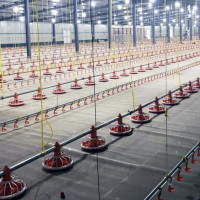 Automatic Poultry Feeding Production Line For Livestock And Poultry