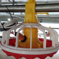 Poultry Feed Broiler Chickens House Feeding Lines Equipment