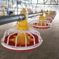 Poultry Feed Broiler Chickens House Feeding Lines Equipment