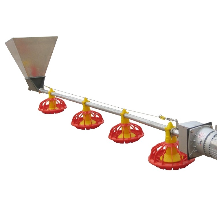 Poultry Feed Broiler Chickens House Feeding Lines Equipment