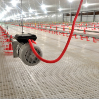 Chicken Farming Poultry Equipment