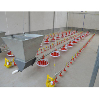 Chicken Farming Poultry Equipment
