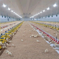 Poultry And Livestock Feed Production Lines