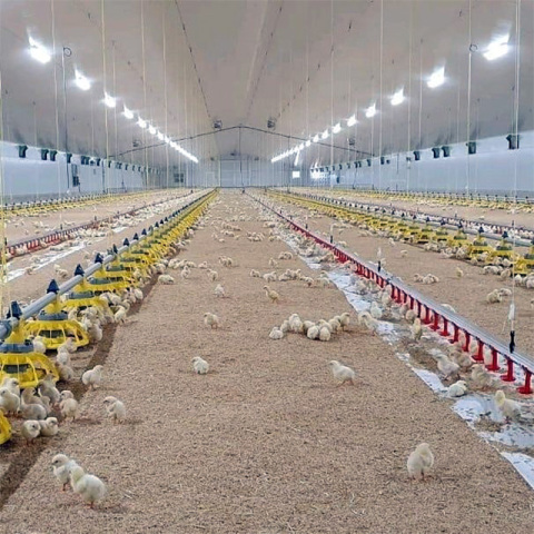Poultry And Livestock Feed Production Lines