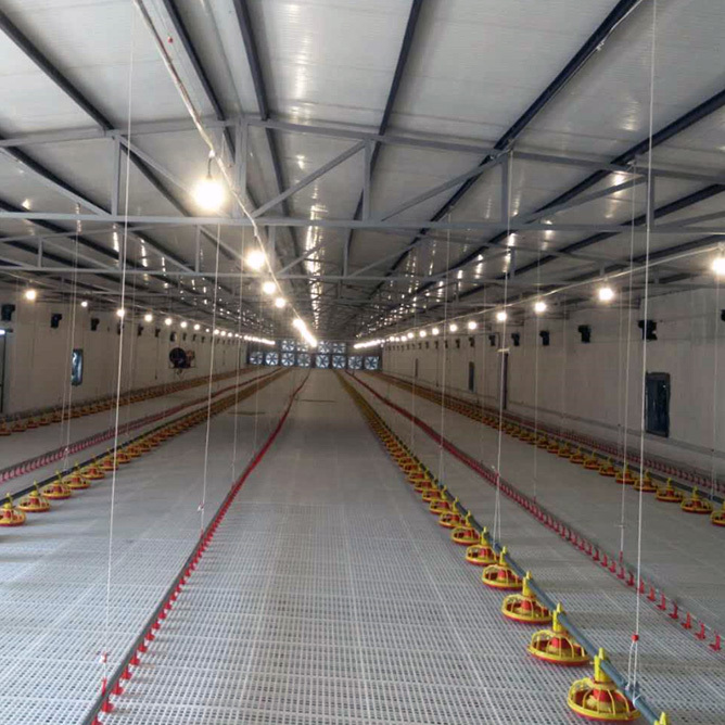 Auto Pan Feeder For Chicken Poultry Feeding Line